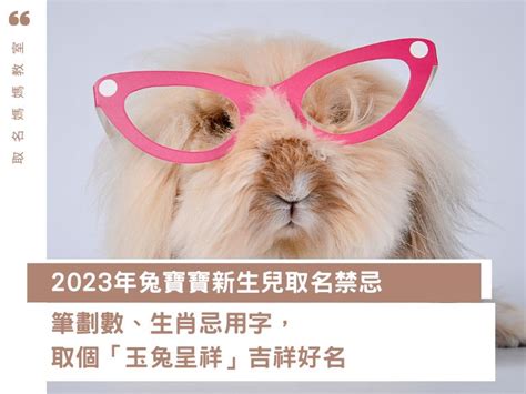 2023兔寶寶|2023年兔寶寶新生兒取名禁忌：筆劃數、生肖忌用。